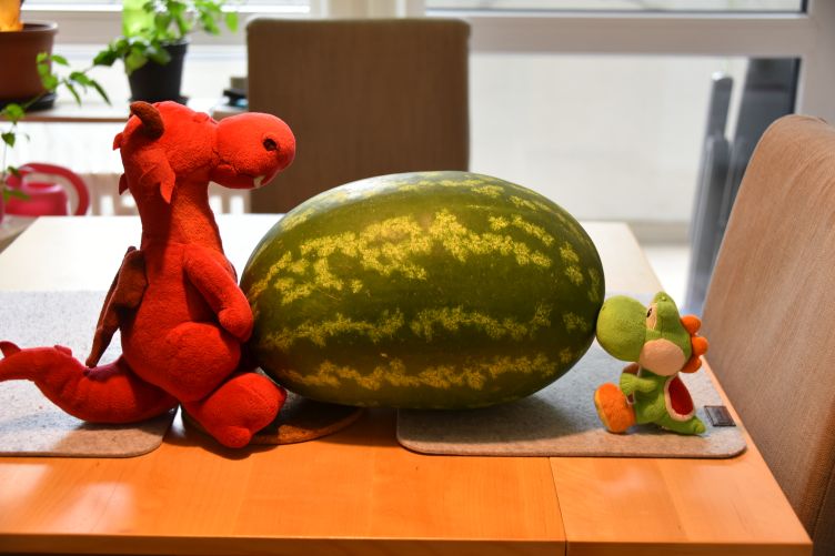 Ruby und Yoshi freuen sich über Melone