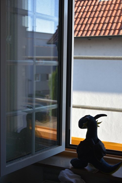 Kiwii öffnet das Fenster