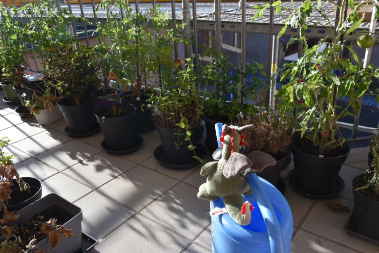 Flora gießt ihre Pflanzen