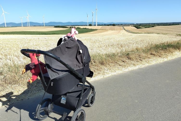 Bella und Chilli beim Kinderwagenausflug