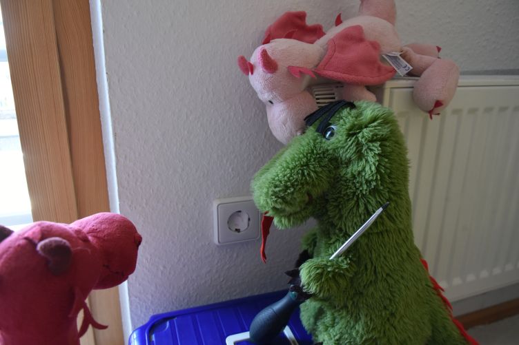 Fauchi, Fleur und Ruby sichern Steckdosen