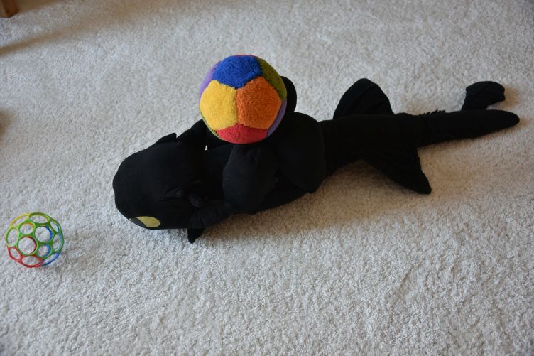 Zähnchen versucht Flussball beizubringen