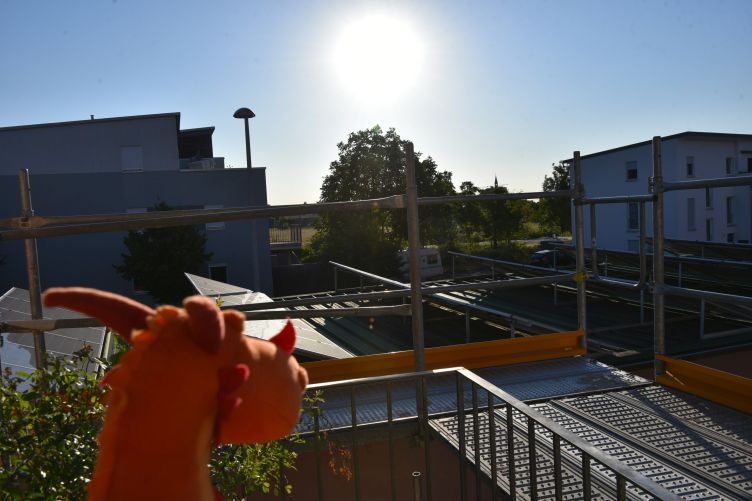 Soleil checkt das Wetter