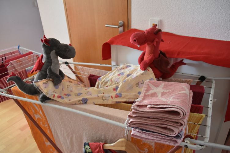 Ruby und Dracon falten Wäsche