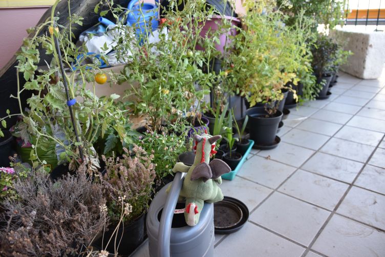 Flora gießt die Pflanzen