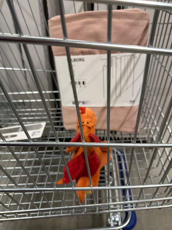 Paffina sucht Vorhänge