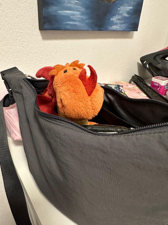 Paffina sitzt in der Handtasche