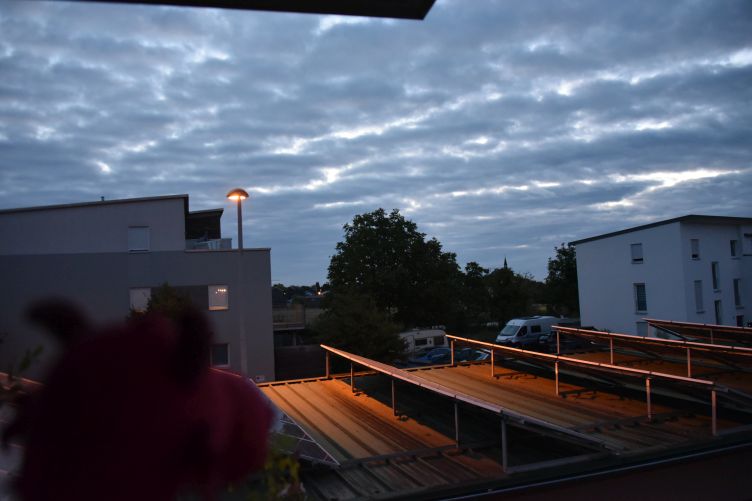 Morgenstunde bei der Drachenfamilie