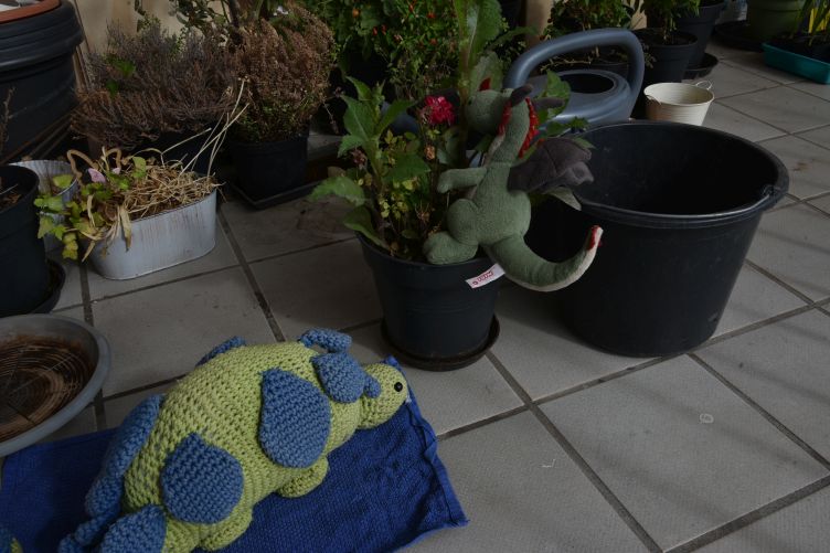 Flora und Tapsor kümmern sich um die Pflanzen