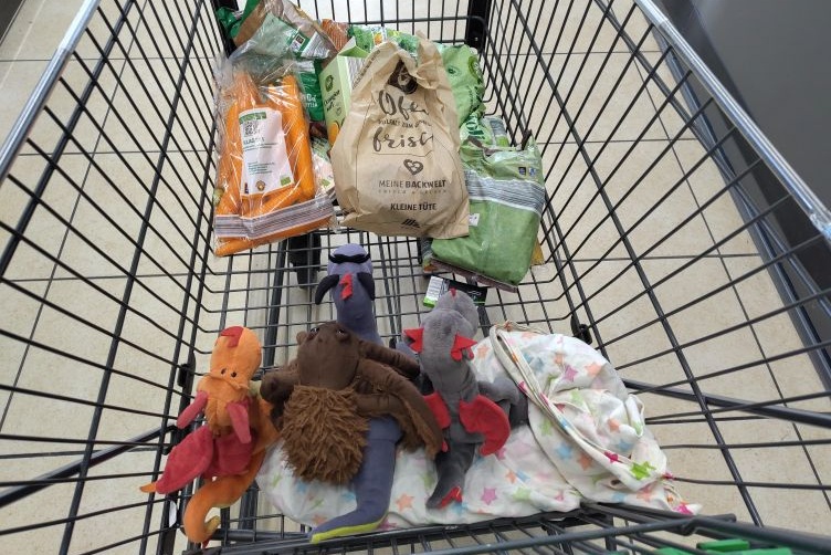 Shoppingdrachenmädels im Einkaufswagen