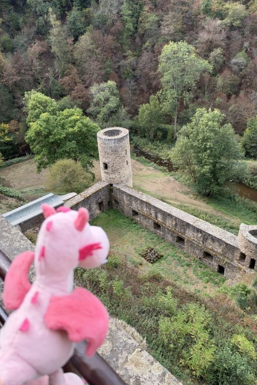 Bella guckt auf die Reste der alten Burg Eltz