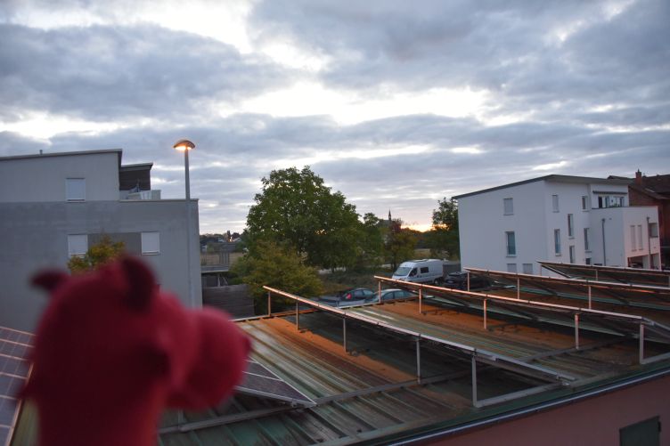 Ruby guckt vom Balkon
