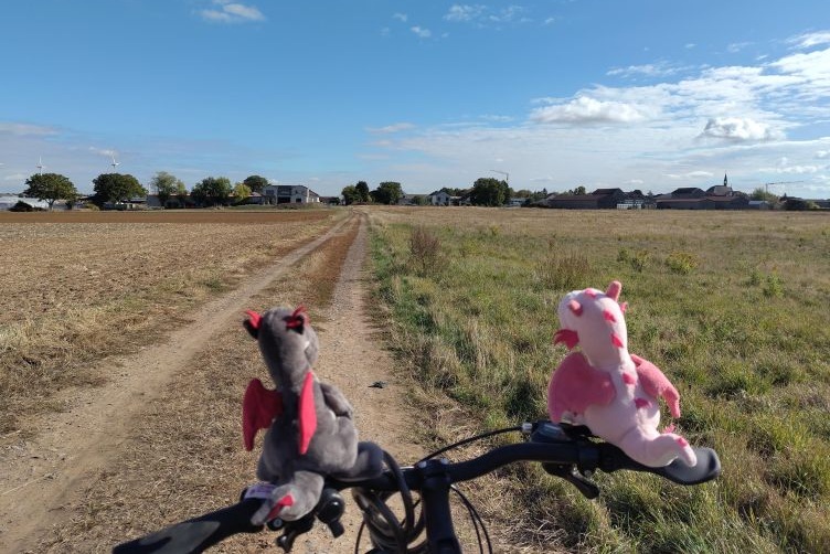 Bella und Nuuk auf dme Fahrradlenker
